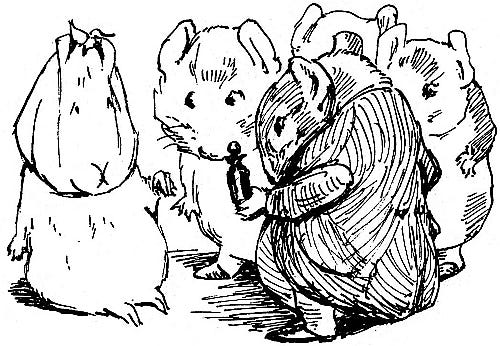 Tuppenny and his poor chilblains. Beatrix Potter, 1929 (public domain). Drawing of guinea pigs. One seems to be asking: what is a chilblain?