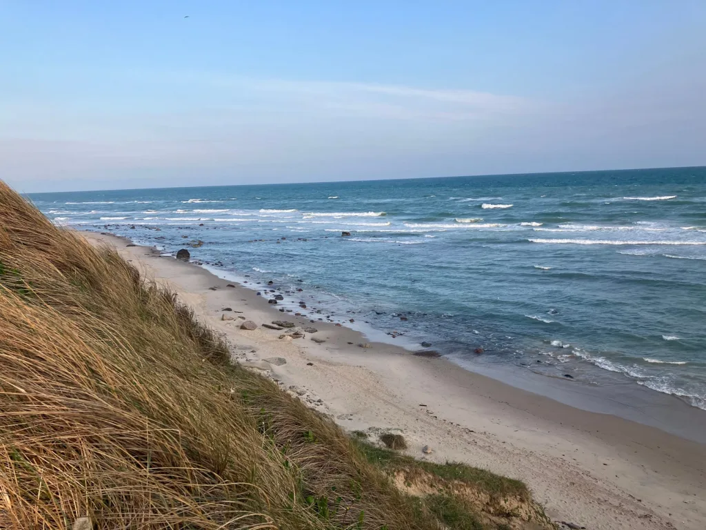 Sandy beach with grassy dunes overlooking the ocean.