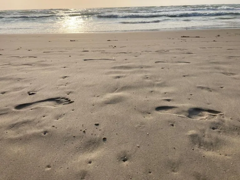 Sandy beach at Hirtshals, waiting for the ferry to Iceland.