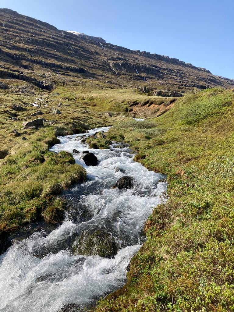 River running along green spongy grass.