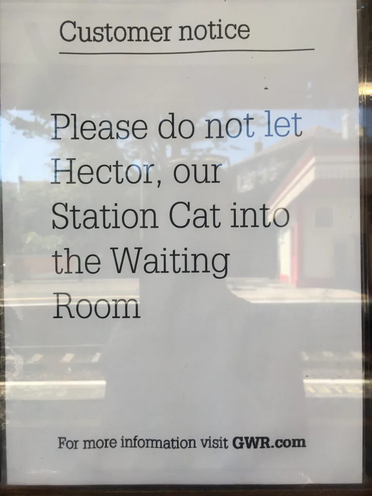 Redruth station notice that says, "Please do not let hector, our Station Cat into the Waiting Room."