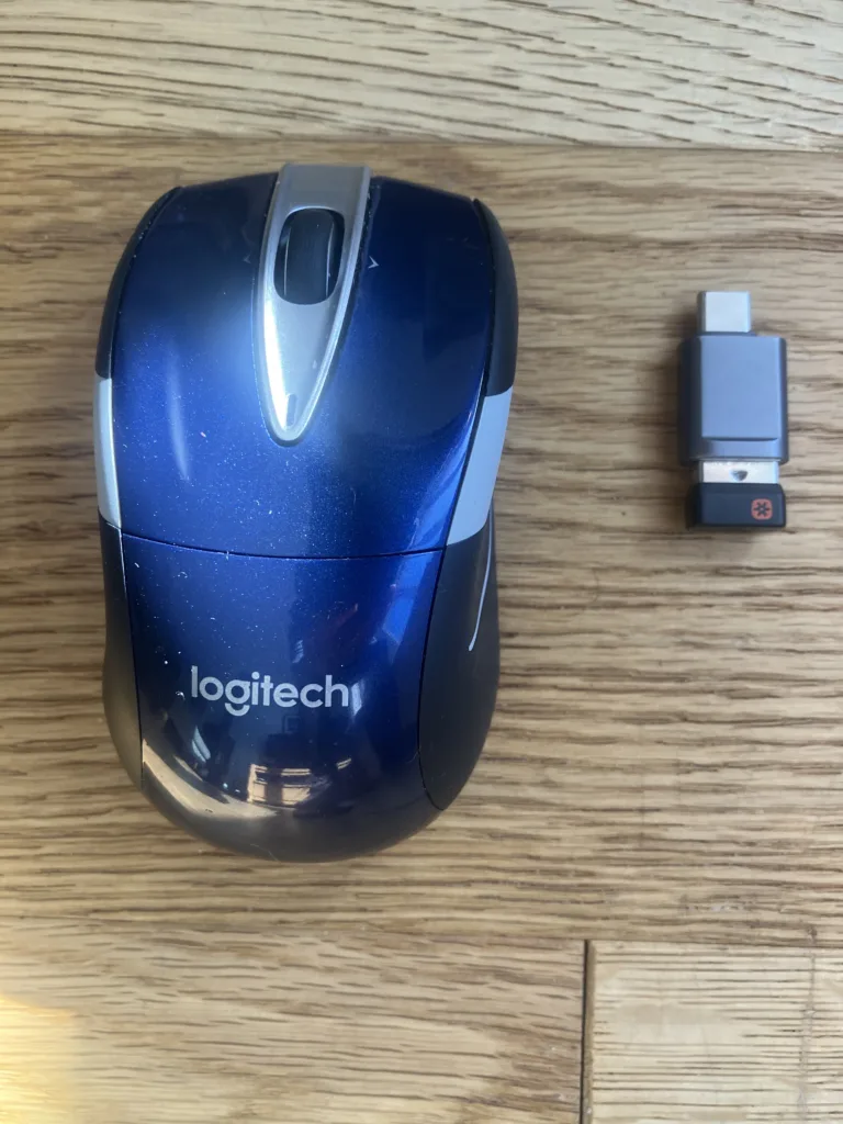 Blue wireless mouse and usb adapter.